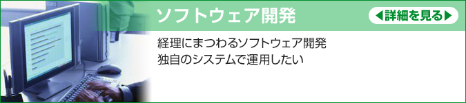 ソフトウェア開発